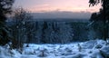 Panorama Of Cold And Frosty Snowscape