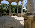 panorama of a colonnade with old columns covered with wild grapes, highlighted with backlight