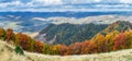 Panorama of colorful trees in the autumn mountains Royalty Free Stock Photo