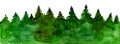 Panorama of coniferous forest silhouettes. Green on a white background. Watercolor. Royalty Free Stock Photo