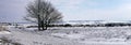 Panorama of a countryside snow scene in Devon South West England Royalty Free Stock Photo