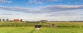 Panorama of a cow and people on a bicycle path in Groningen