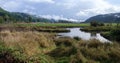 Panorama of the creek and surrounding mountains at the Dean Creek Wildlife Area near Reedsport, Oregon, USA Royalty Free Stock Photo