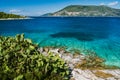 Group of cactus plants in front of crystal clear transparent blue turquoise teal Mediterranean sea. Fiskardo town Royalty Free Stock Photo