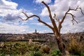 Panorama of the cultural destination of Matera in Italy