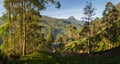 Panorama of Dalhousie town with Adams peak and tea plantations