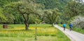 Panorama Danube cycle path in spring