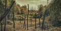 Panorama of a dark mystical forest with dead trees, Halloween. Trees with cut branches in the forest Royalty Free Stock Photo