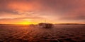 Panorama of dawn on the Reftinsky reservoir in winter, Russia Ural,