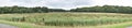 Panorama De Blaffert bij landgoed De Mattemburgh Royalty Free Stock Photo