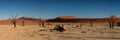 Panorama of the Dead Vlei Royalty Free Stock Photo