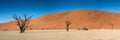 Panorama of the Dead Vlei Royalty Free Stock Photo