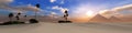 Panorama of the desert of sand at sunset Royalty Free Stock Photo