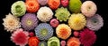 Panorama of different colorful flower heads.