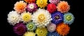 Panorama of different colorful flower heads.