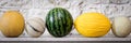 Panorama with different melons Royalty Free Stock Photo