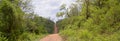 Panorama of dirt road in the remote Amazon jungle between the border of Bolivia and Brazil showing the roads less travelled