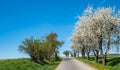 Panorama dirt road in spring