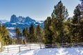 Panorama of the Dolomites with snowy mountains and green conifer Royalty Free Stock Photo