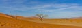 Panorama from dunes of Namib Desert at Sossusvlei in the morning time, Namibia Royalty Free Stock Photo