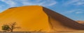 Panorama from dunes 45 of Namib Desert at Sossusvlei in the morning time, Namibia Royalty Free Stock Photo