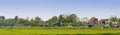 Panorama Dutch country landscape in spring