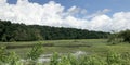 Panorama of Dyar Pasture Wildlife Management Area, Royalty Free Stock Photo