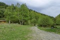 Panorama of ecological path through a green springtime forest Royalty Free Stock Photo