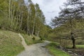 Panorama of ecological path through a green springtime forest Royalty Free Stock Photo