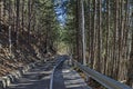 Panorama of ecological path through green winter forest, Lozen mountain, Pancharevo Royalty Free Stock Photo