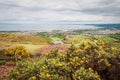 Panorama of Edinburgh from Holyrood Park covered with yellow flowers Royalty Free Stock Photo