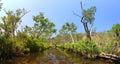 Panorama - Edith falls, Nitmiluk National Park, Northern Territory, Australia Royalty Free Stock Photo