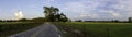 Country road panorama with cow pasture Royalty Free Stock Photo