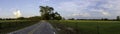 Country road panorama with cow pasture