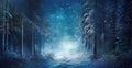 Panorama of enchanted forest in winter night with snow covered trees along glowing mystical path Royalty Free Stock Photo