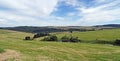 Panorama of the Erzgebirge Royalty Free Stock Photo