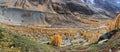 Panorama of Fafleralp Valley with yellow larch forest in the ground moraines of Lang Glacier. Royalty Free Stock Photo