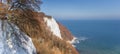 Panorama of the famous white cliff Konigsstuhl in Jasmund National Park Royalty Free Stock Photo