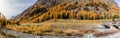 Panorama of the famouse Roseg Valley in golden fall season