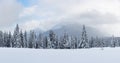 Panorama of fantastic winter landscape with snowy trees