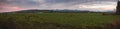 Panorama farmland during pink sunset