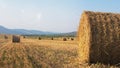 Panorama Of Field Of Round Bales Of Hay After Harvest