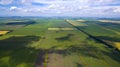 A panorama of a field of summer days Royalty Free Stock Photo