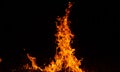 Panorama Fire flames on black background.global warming concept.Abstract background  sparks, dark glitter, light particles, light. Royalty Free Stock Photo