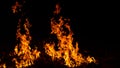 Panorama Fire flames on black background.global warming concept.Abstract background  sparks, dark glitter, light particles, light. Royalty Free Stock Photo