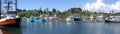 Panorama of fishing boats at anchor