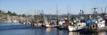 Panorama of fishing boats at anchor