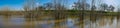 Panorama of flooded trees on a levee near the sacramento river delta
