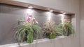 Panorama Flower arrangements in a recessed alcove interior