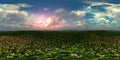 Panorama of a flower meadow, HDRI, environment map Royalty Free Stock Photo